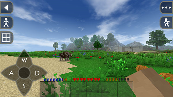 Survivalcraft2中文版