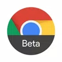 谷歌浏览器测试版app(Chrome Beta) v121.0.6167.71