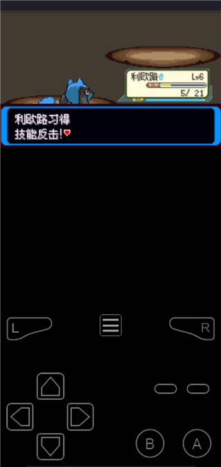 口袋妖怪決心漢化版
