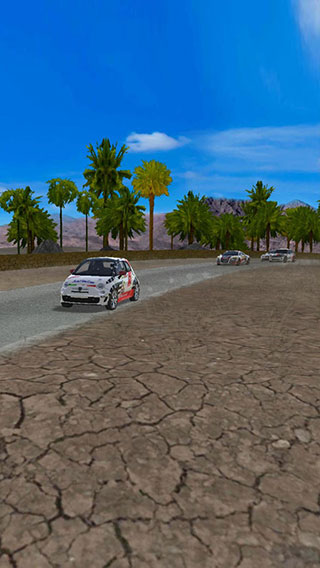 極速拉力賽車最新版(Final Rally)