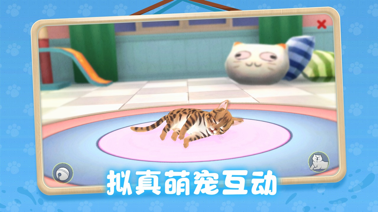 养了个猫2024最新版