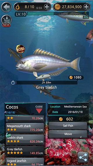 釣魚胡克最新版