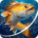 釣魚胡克最新版