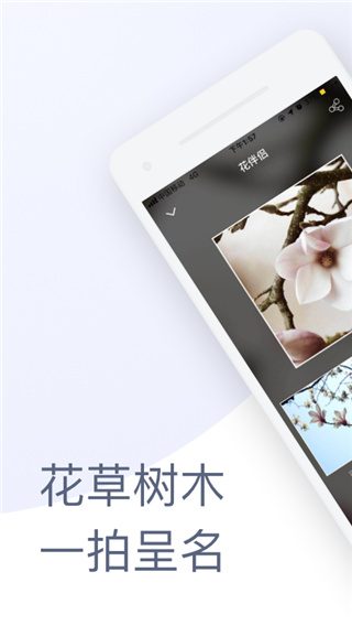 花伴侣app官方版
