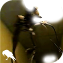 backrooms官方版