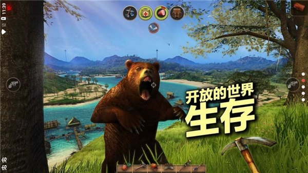 輻射島高級版