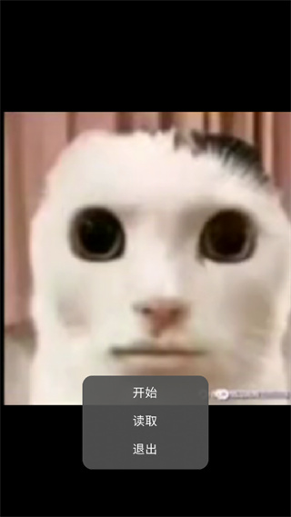 貓貓驚魂正版