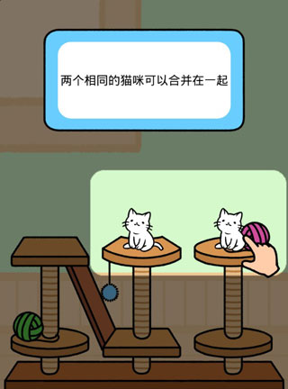 猫咪公寓