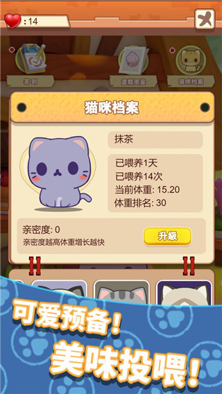 養只大肥貓游戲