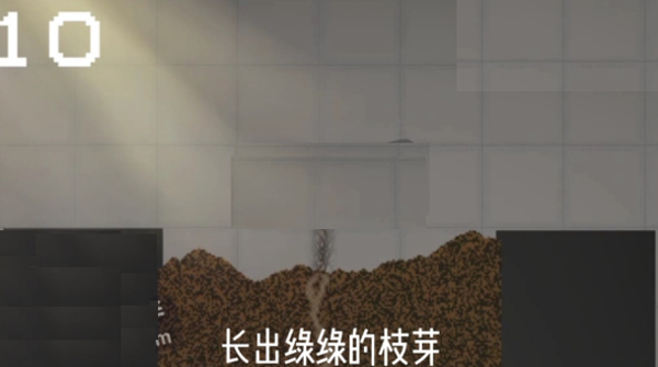 甜瓜游樂場官方正版