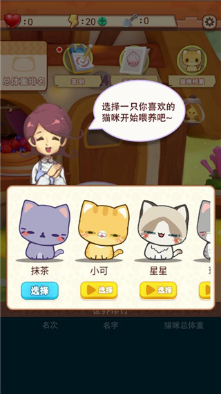 養只大肥貓游戲