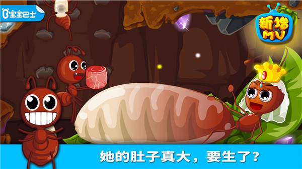 寶寶認(rèn)螞蟻游戲