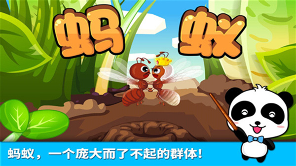 寶寶認(rèn)螞蟻游戲