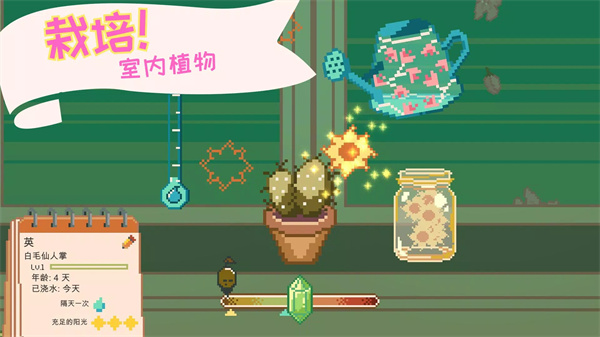 窗邊花園正版