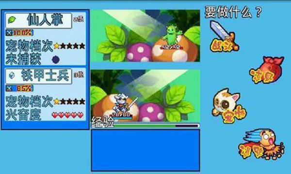 寵物王國5彩虹