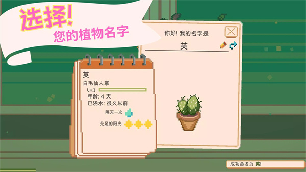 窗邊花園正版