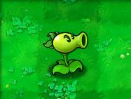 植物大戰僵尸95版2024最新版