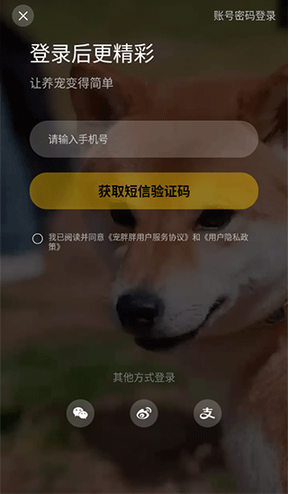 宠胖胖软件官方版