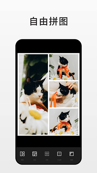 Fotor圖片編輯器軟件