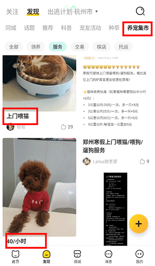 宠胖胖软件官方版