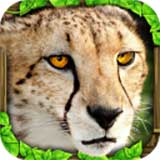 獵豹模擬器游戲(Cheetah Sim)