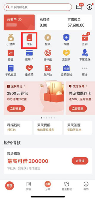 京东白条借款App