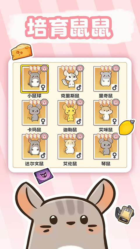 社會我貓哥手游