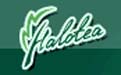 Halotea电脑催眠软件