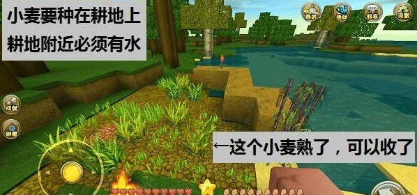 迷你世界國際服老版本