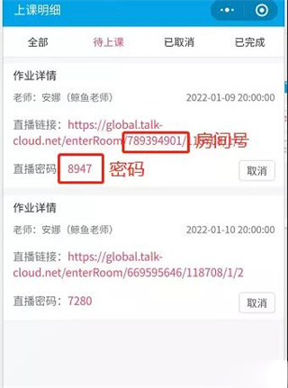拓课云plus app官方最新版本
