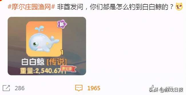 2023摩尔庄园白白鲸怎么钓概率大（什么时间在哪能钓到）