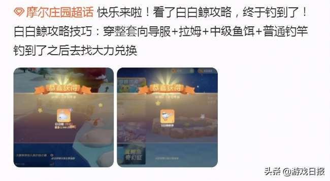 2023摩尔庄园白白鲸怎么钓概率大（什么时间在哪能钓到）
