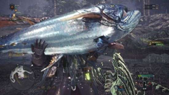 怪物獵人P3古代魚出現條件及在哪釣（釣點位置及魚類詳解）