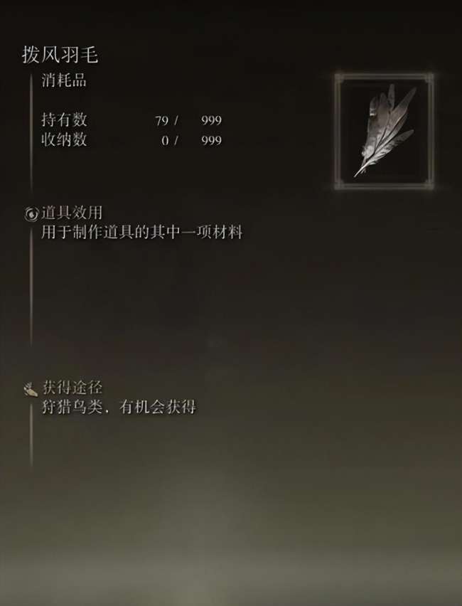 史东薇尔城攻略及隐藏boss位置（地下怎么去、收集流程路线）