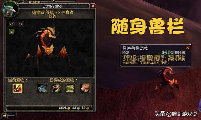 魔獸獵人寵物天賦怎么點及稀有寶寶排行（寵物機制變化及分類）