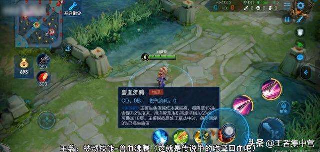 王者荣耀s19赛季的皮肤是谁的（战令皮肤汇总及新英雄介绍）