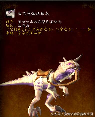 魔兽世界白色迅猛龙怎么获得（坐骑位置及获得方法）