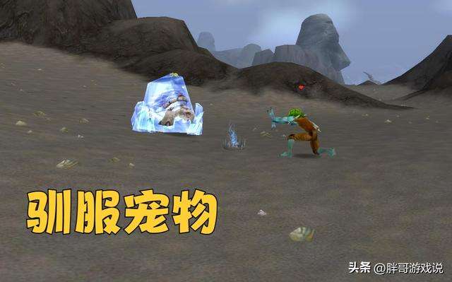 魔獸獵人寵物天賦怎么點及稀有寶寶排行（寵物機制變化及分類）
