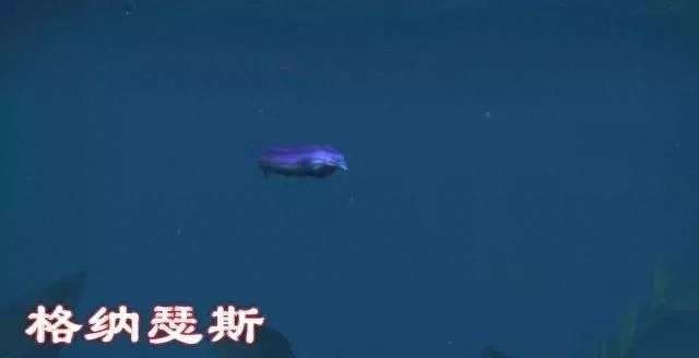 魔兽世界瓦斯琪尔鲸鲨在哪及掉落分析（附各海怪详细介绍）