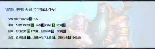 魔兽世界德鲁伊技能套装一览（技能加点及练级天赋选择攻略）