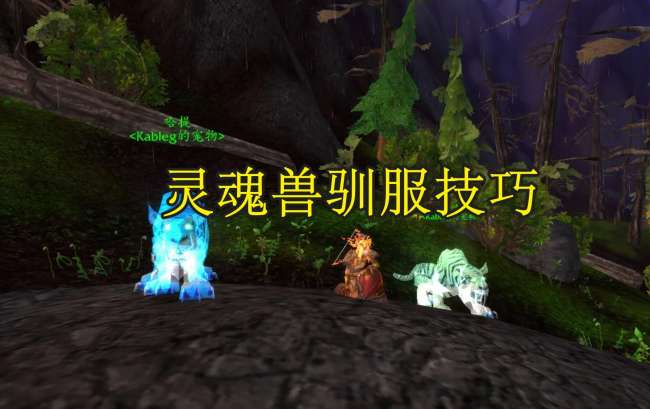 魔兽世界灵魂兽大全及坐标（2023猎人必抓宠物和捕捉技巧）