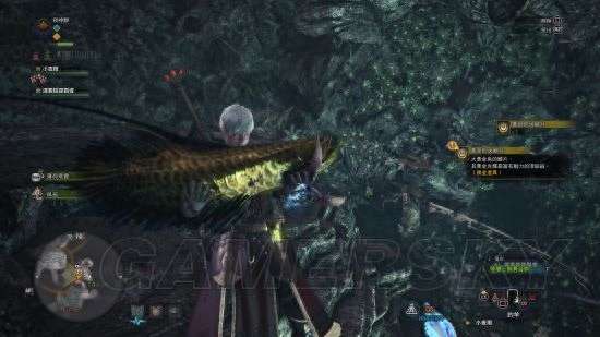 怪物獵人P3古代魚出現條件及在哪釣（釣點位置及魚類詳解）