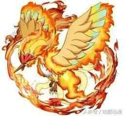 口袋妖怪黑白攻略二周目图文（宠物分布图及捕捉神兽方法）