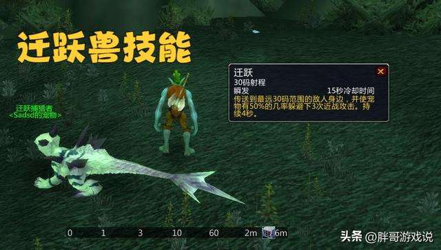 魔獸獵人寵物天賦怎么點及稀有寶寶排行（寵物機制變化及分類）