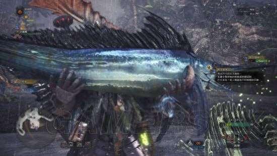 怪物獵人P3古代魚出現條件及在哪釣（釣點位置及魚類詳解）
