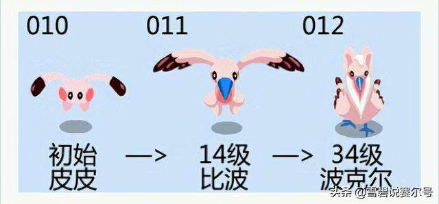 赛尔号闪光波克尔技能表一览（技能搭配与捕捉培养技巧）