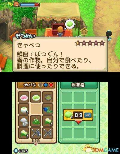 牧场物语双子村攻略图文大全（游戏介绍、剧情和玩法评测）