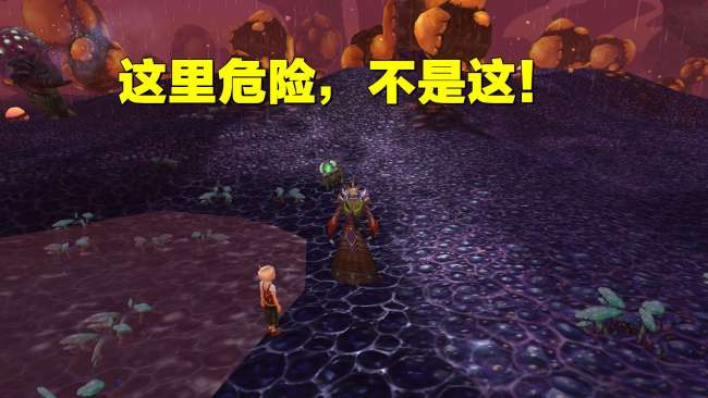 魔獸世界兒童周任務(wù)路線一覽表（任務(wù)做法流程與獎(jiǎng)勵(lì)詳解）