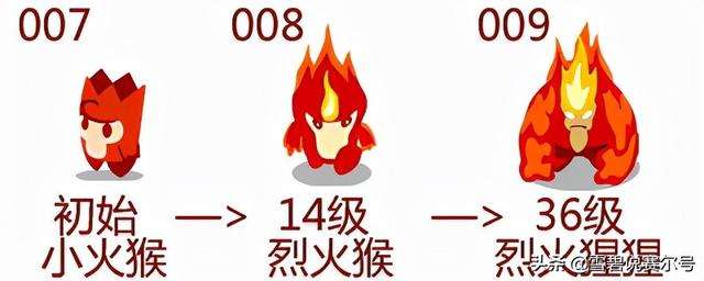 賽爾號(hào)小火猴在哪抓及怎么進(jìn)化（進(jìn)化圖和進(jìn)化史詳細(xì)介紹）