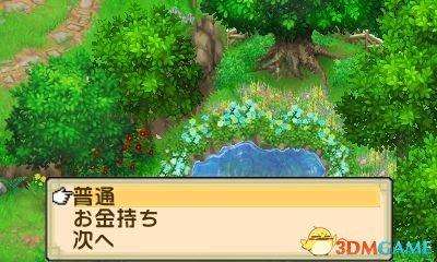 牧场物语双子村攻略图文大全（游戏介绍、剧情和玩法评测）